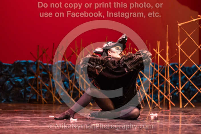 20260304152620-R3-639449