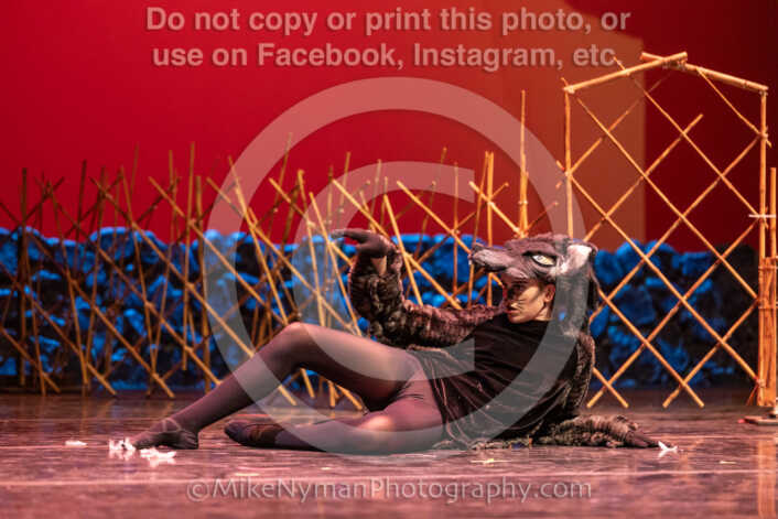 20260304152624-R3-639451