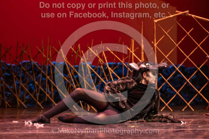 20260304152628-R3-639453