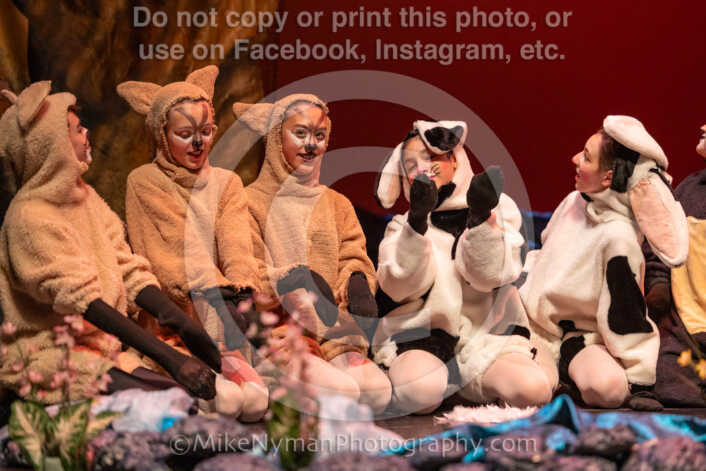 20260304152657-R3-639463