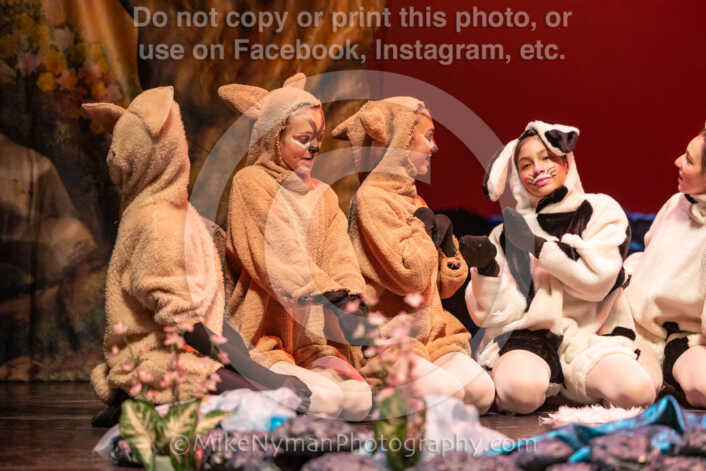 20260304152658-R3-639464