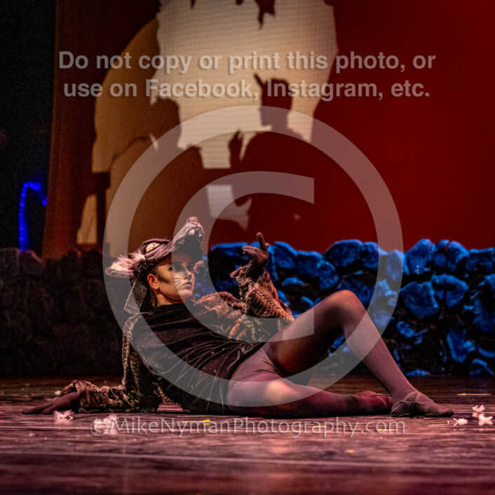 20260304152712-R62-100595