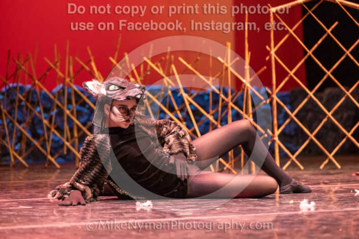 20260304152713-R3-639473