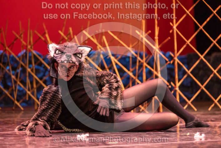 20260304152725-R3-639479