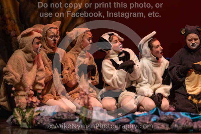 20260304152754-R3-639493