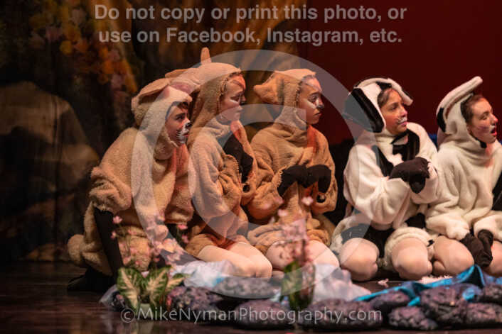 20260304152755-R3-639494