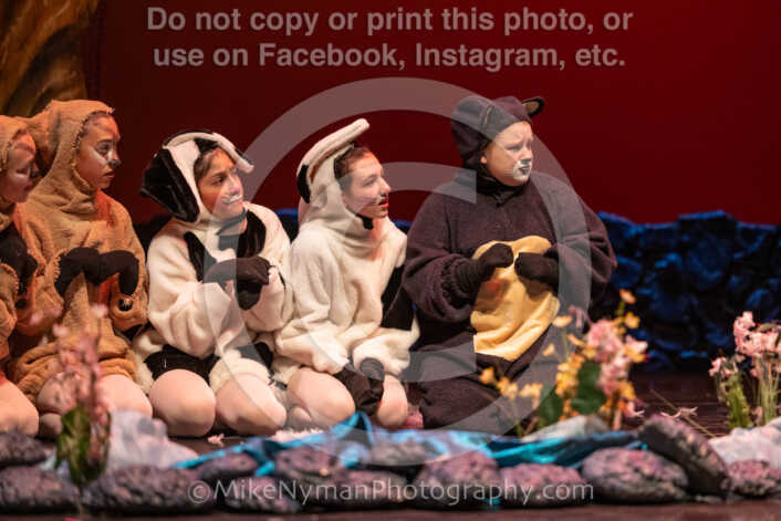 20260304152756-R3-639495