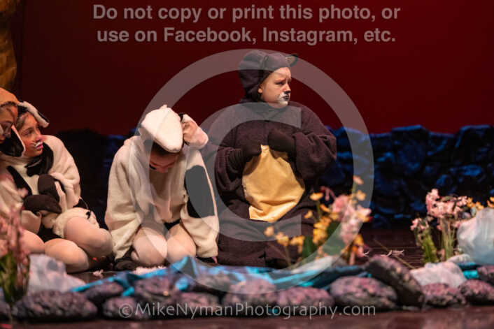 20260304152812-R3-639503