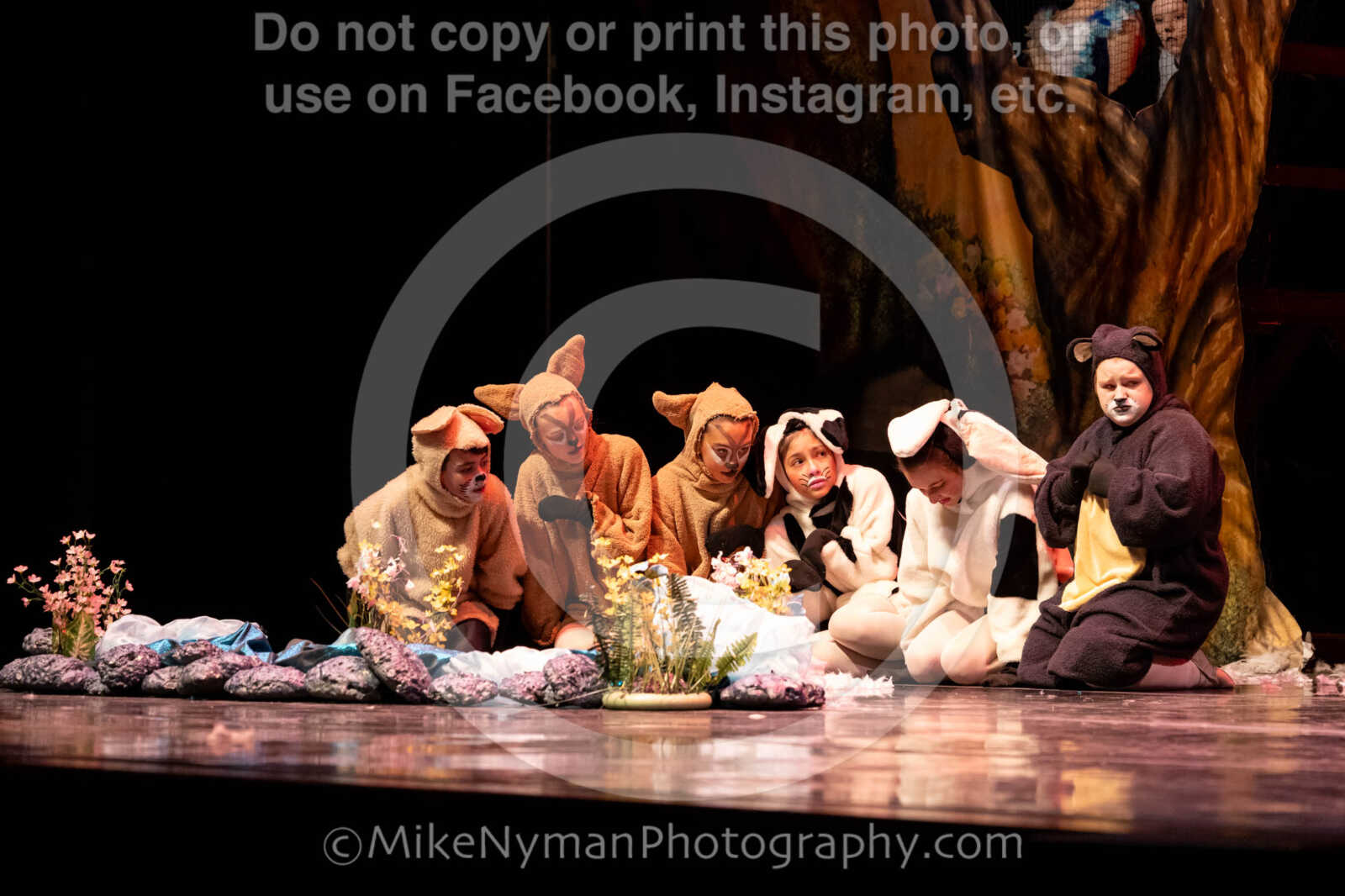 20260304152813-R62-100602