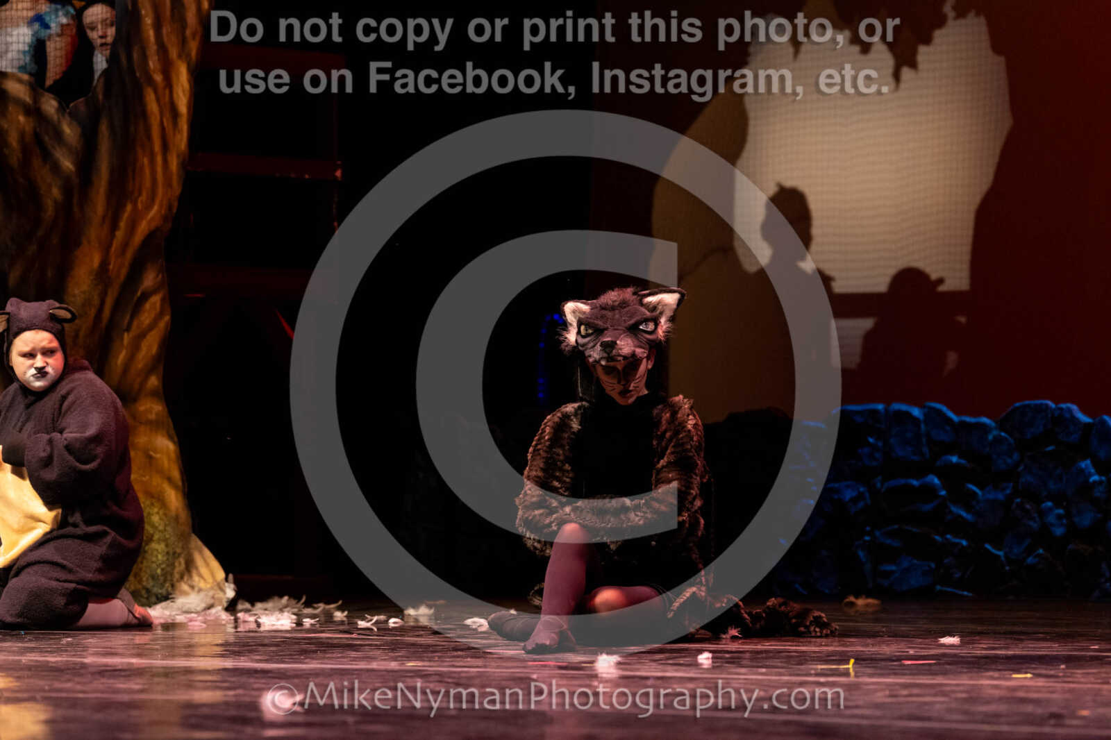 20260304152817-R62-100603