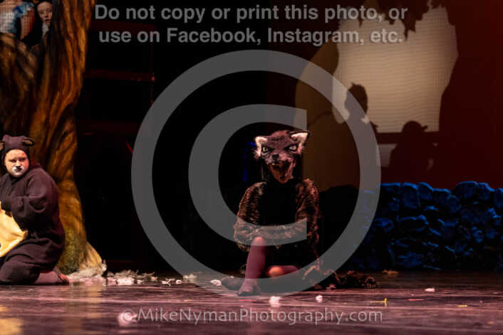 20260304152817-R62-100603