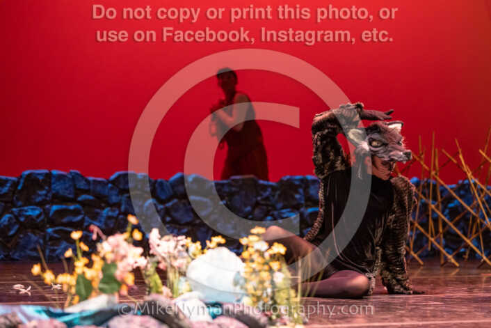 20260304152851-R3-639516