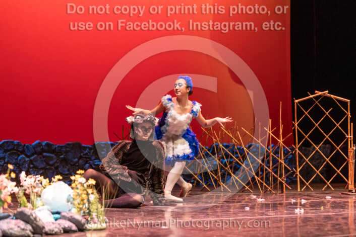 20260304152902-R3-639520