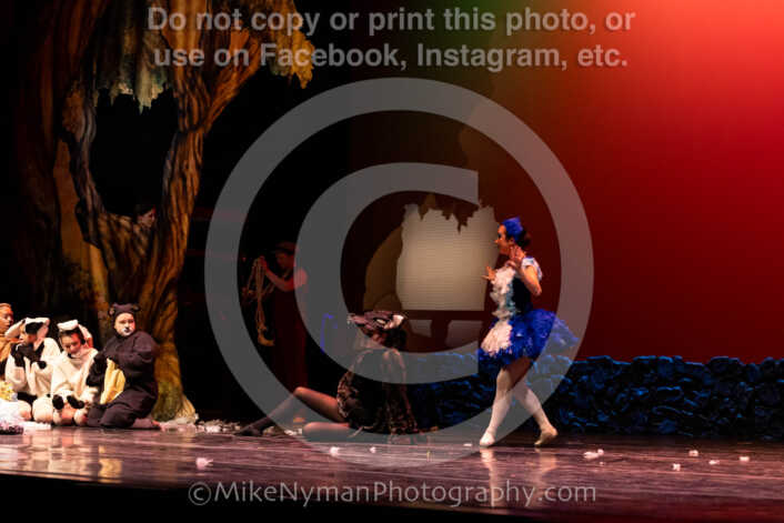 20260304152903-R62-100605