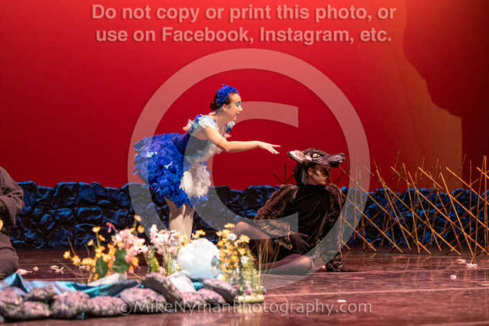 20260304152906-R3-639522