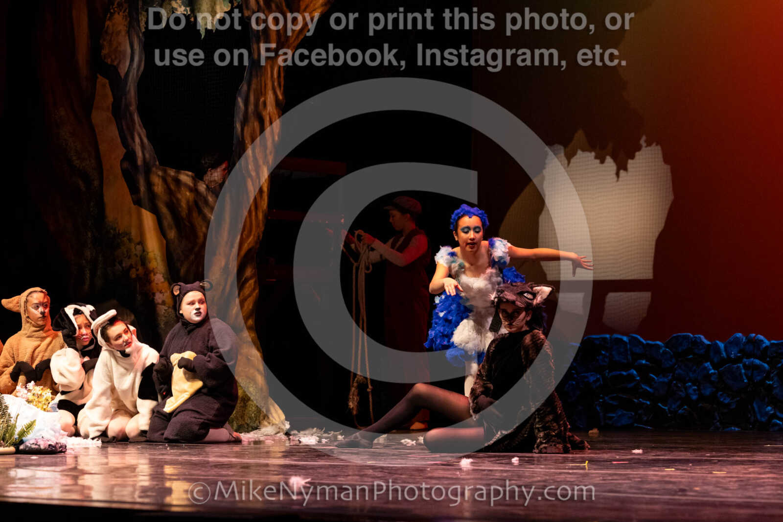 20260304152907-R62-100606