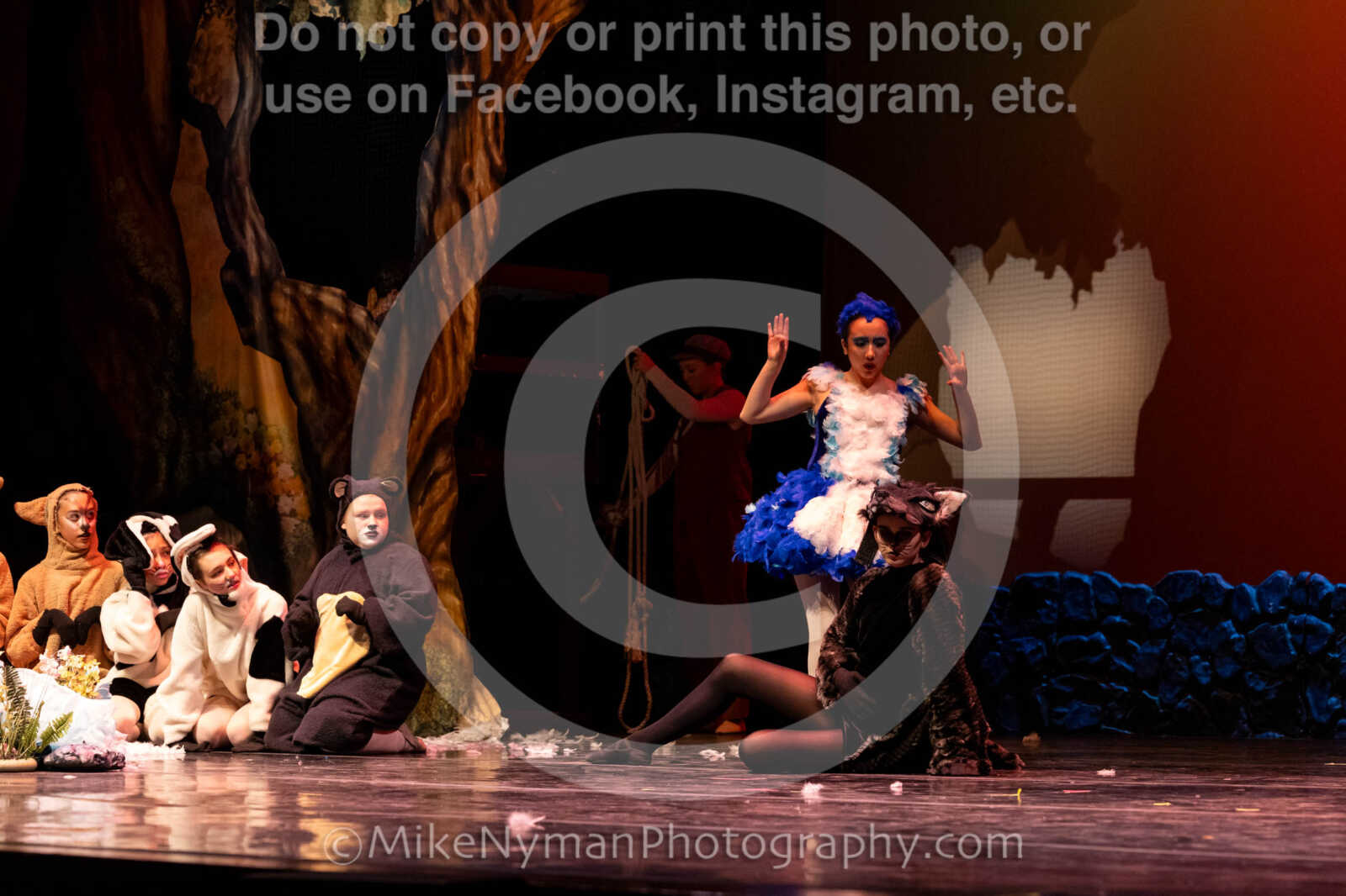 20260304152908-R62-100607