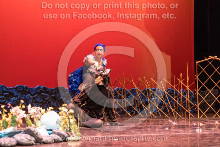 20260304152911-R3-639525