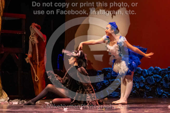 20260304152911-R62-100608