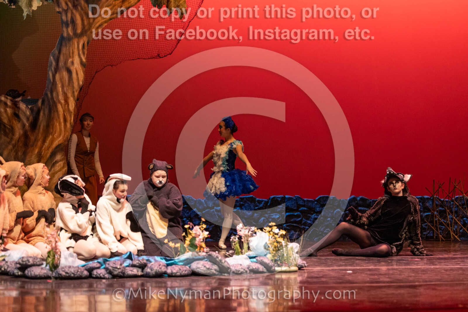 20260304152922-R3-639527