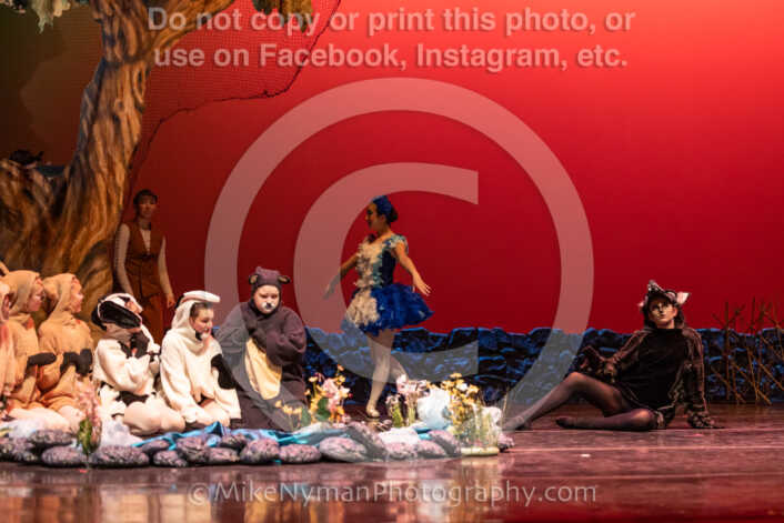 20260304152922-R3-639527