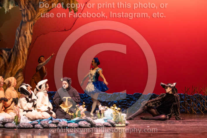 20260304152924-R3-639528