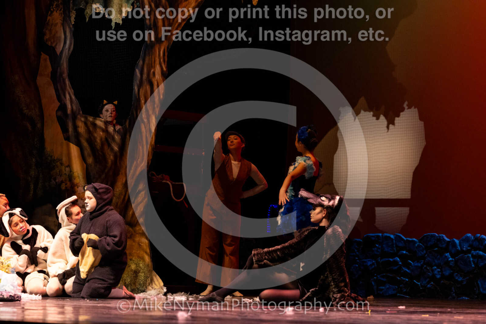 20260304152925-R62-100610