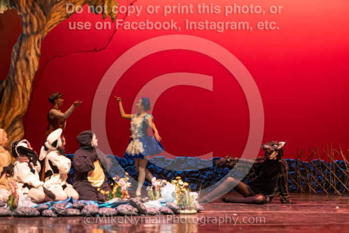 20260304152932-R3-639531