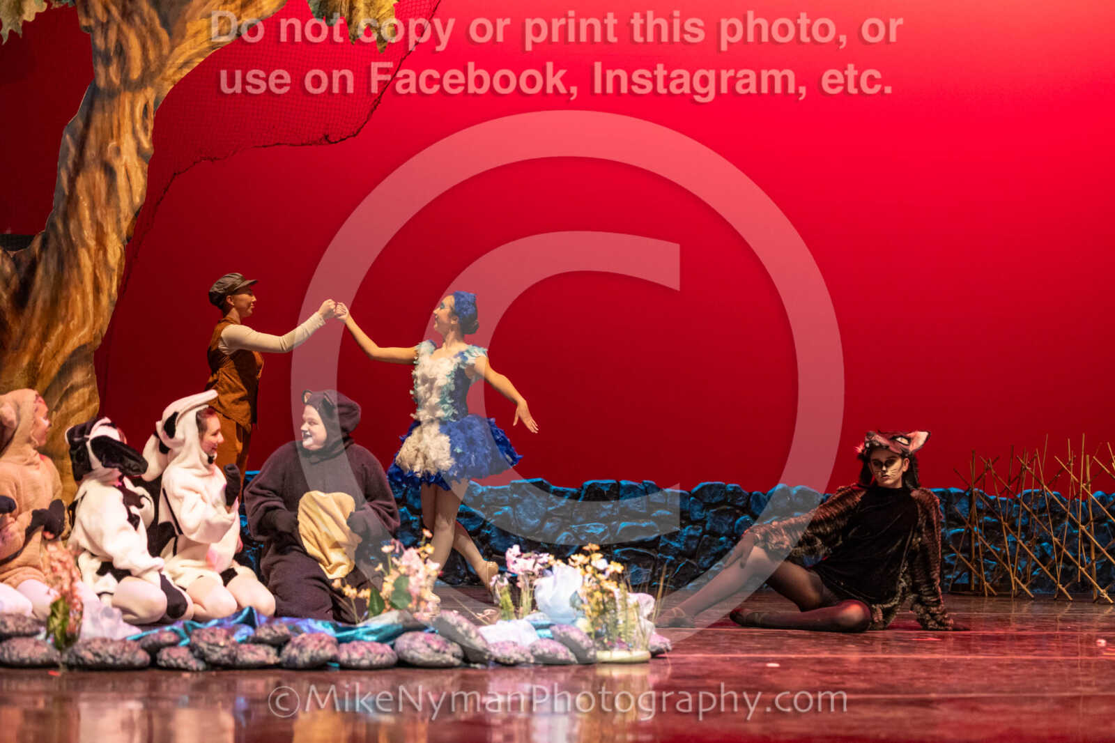 20260304152934-R3-639534