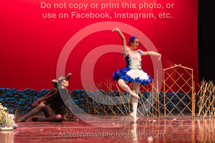 20260304152937-R3-639536