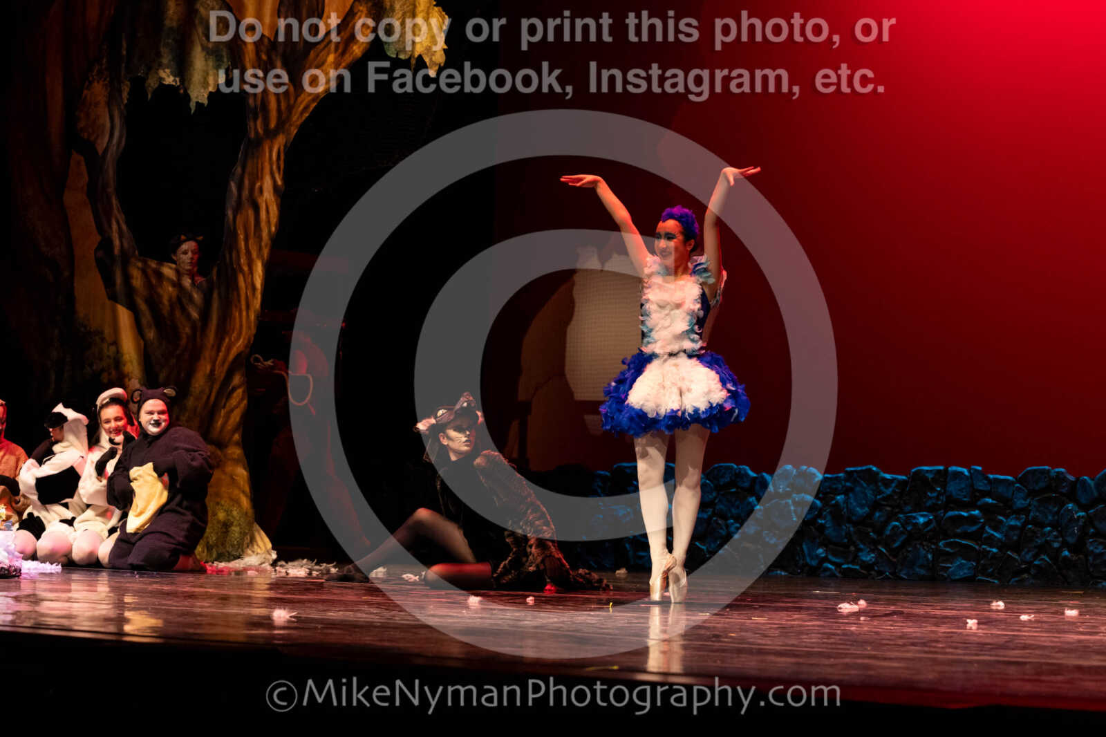 20260304152937-R62-100612