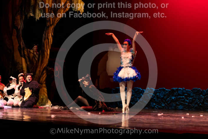 20260304152937-R62-100612