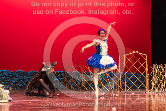 20260304152938-R3-639537