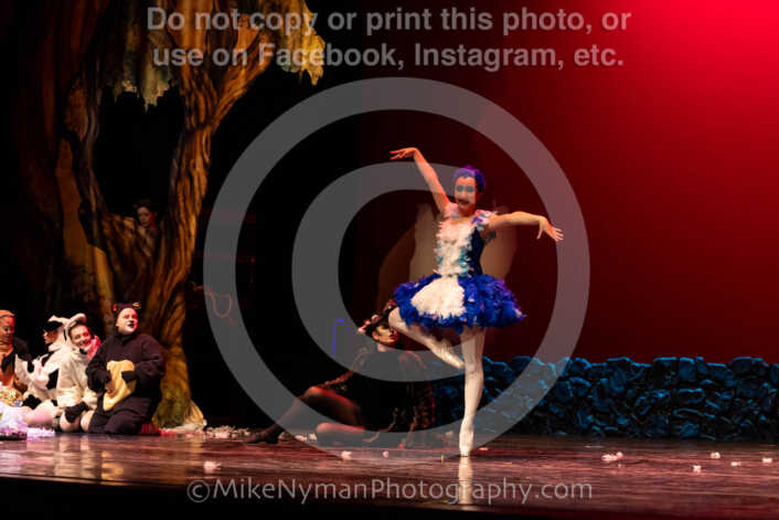 20260304152938-R62-100613