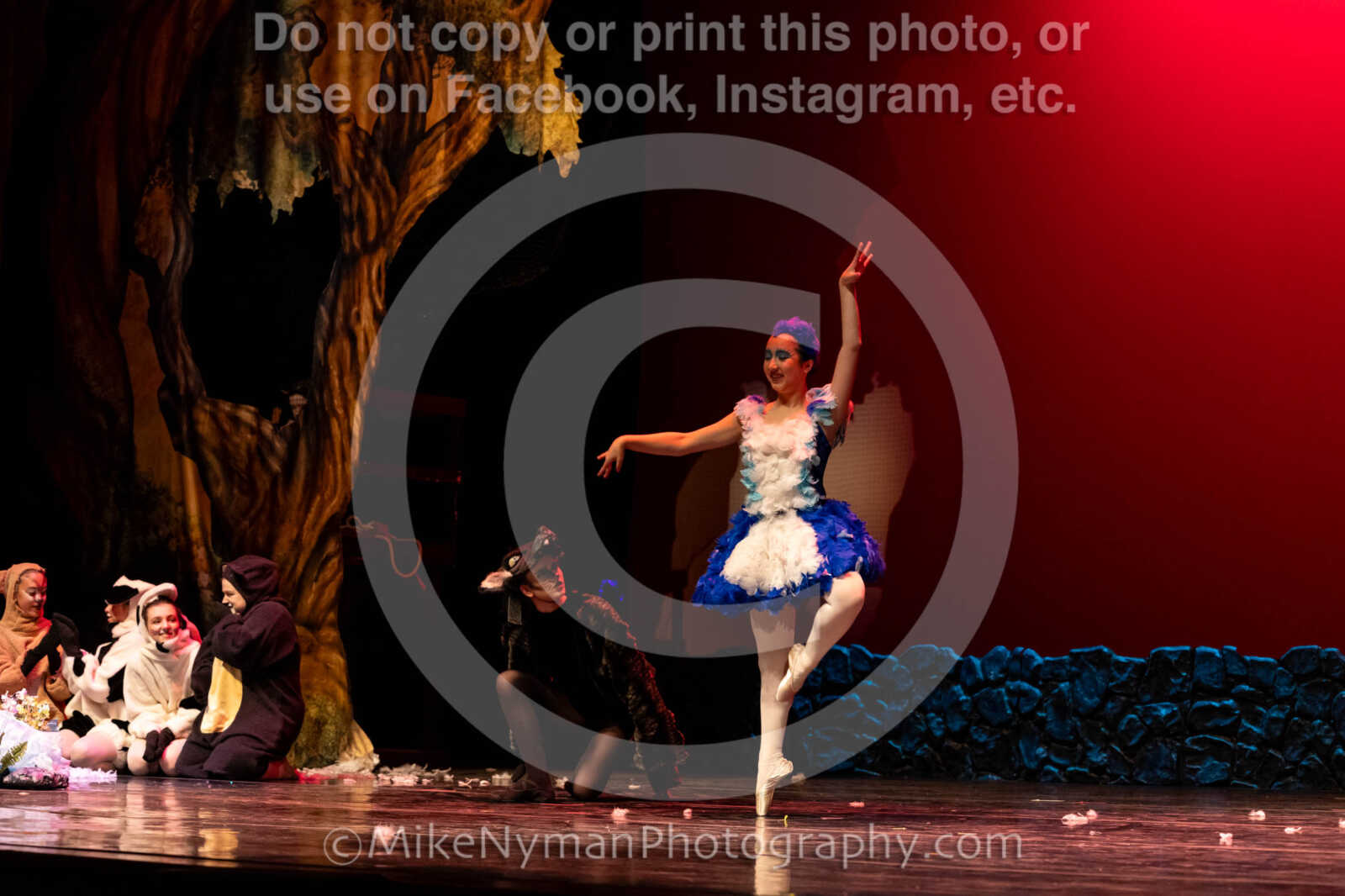 20260304152939-R62-100614