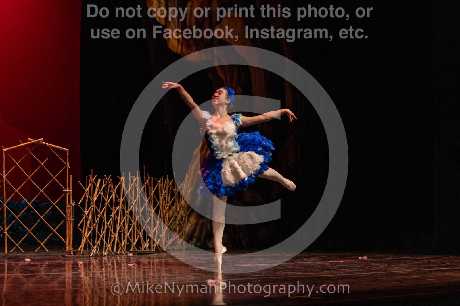 20260304152945-R3-639542