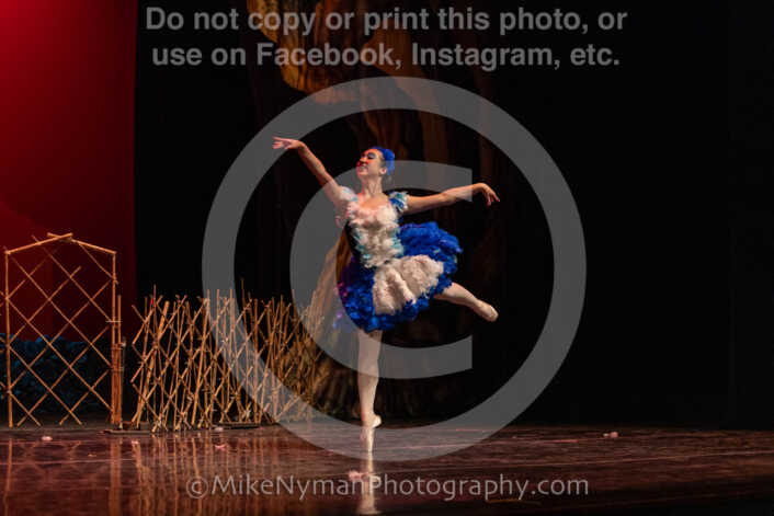 20260304152945-R3-639542