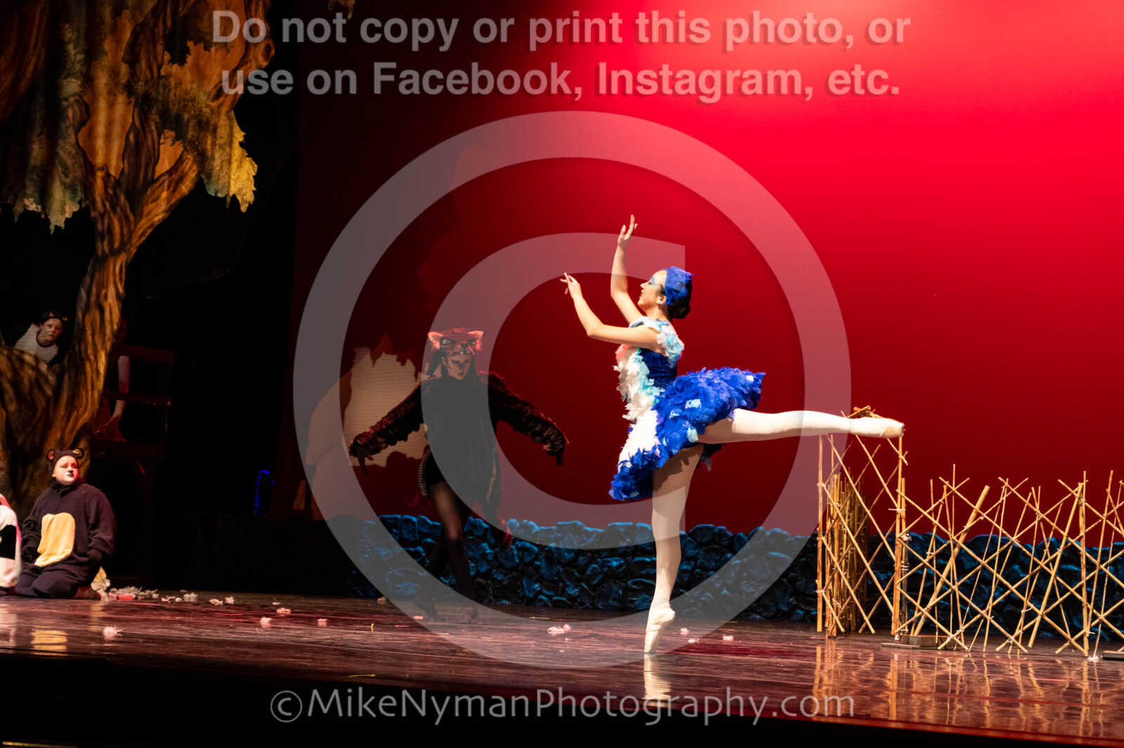 20260304152948-R62-100621