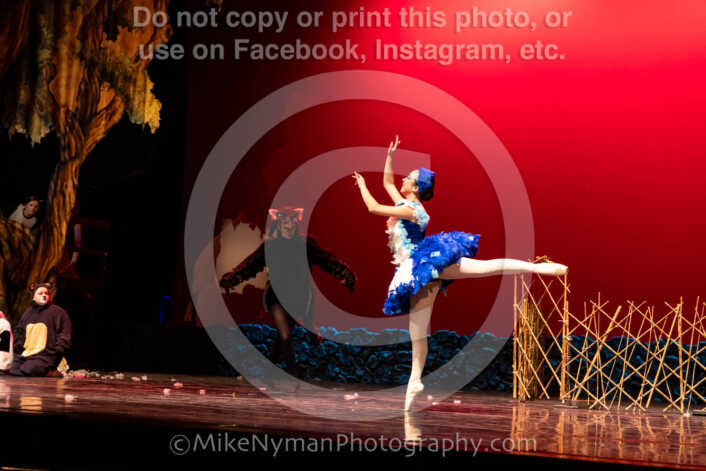 20260304152948-R62-100621