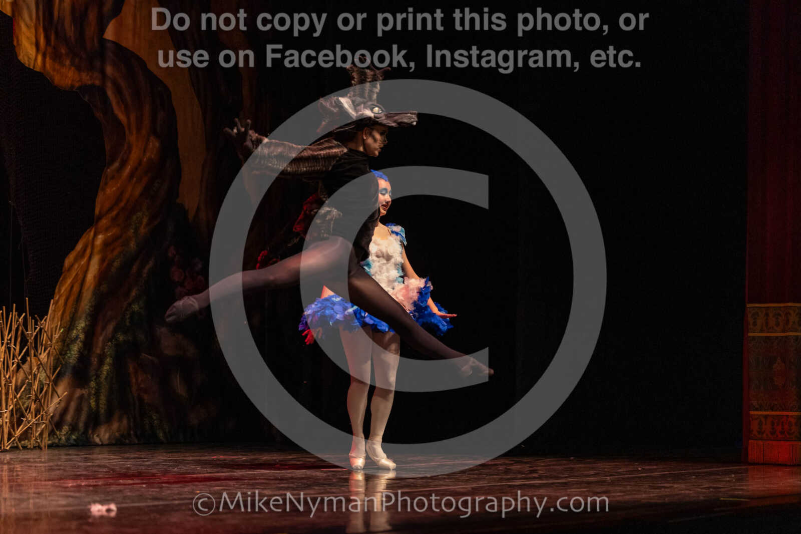 20260304152949-R3-639546