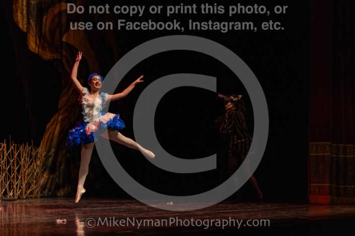 20260304152951-R3-639547