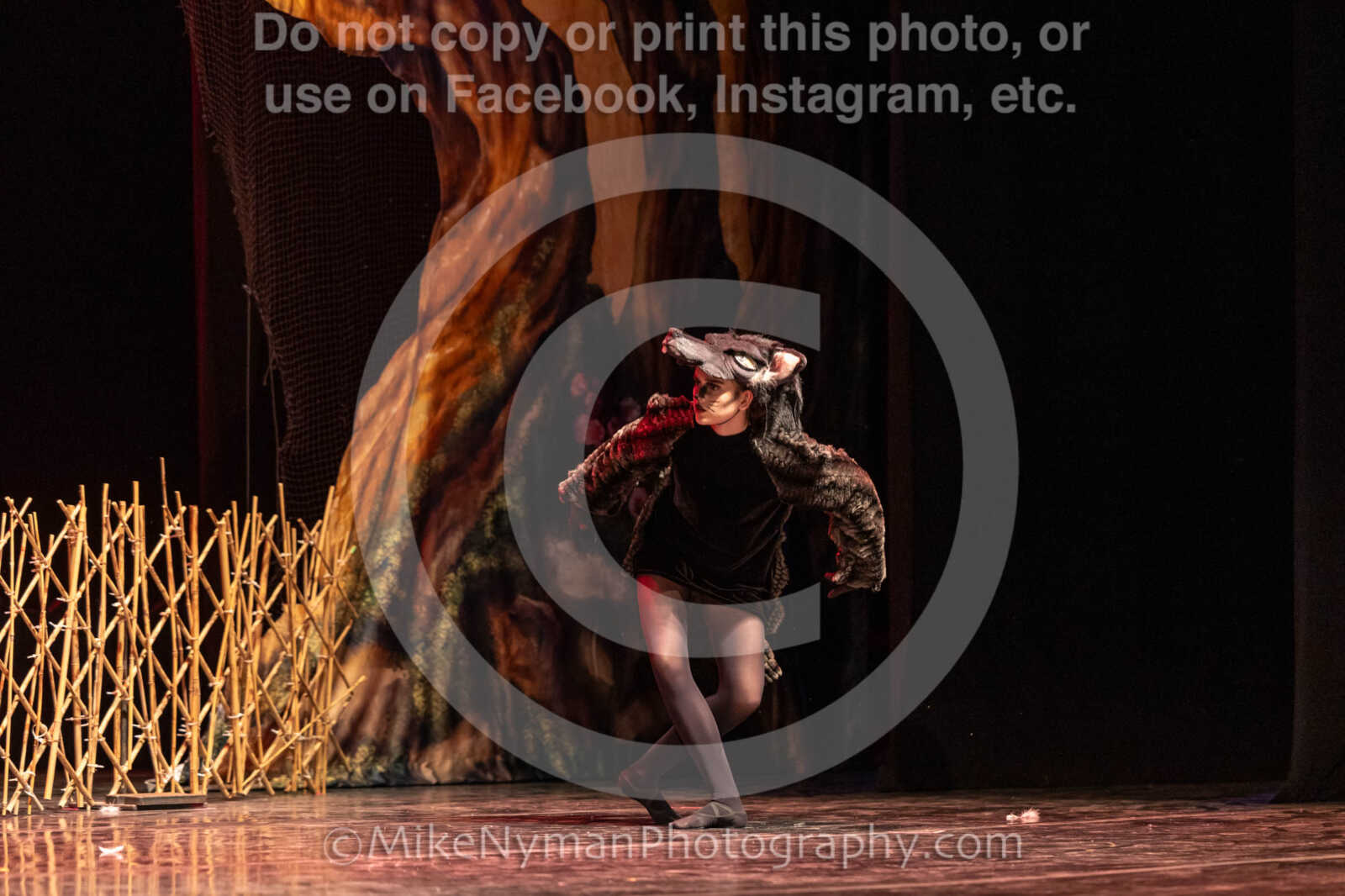 20260304152957-R3-639549