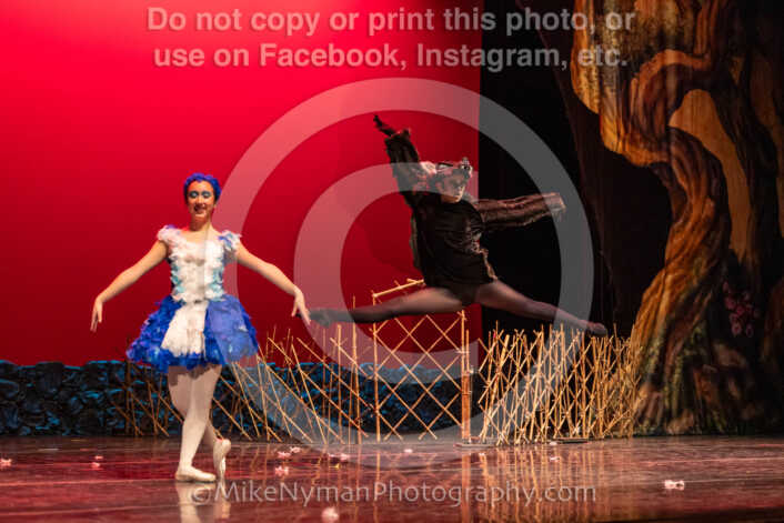 20260304153004-R3-639551