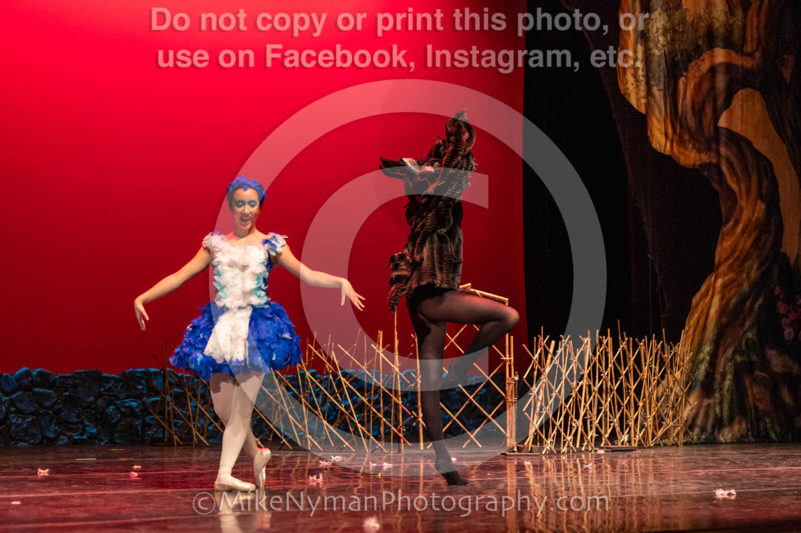 20260304153005-R3-639553