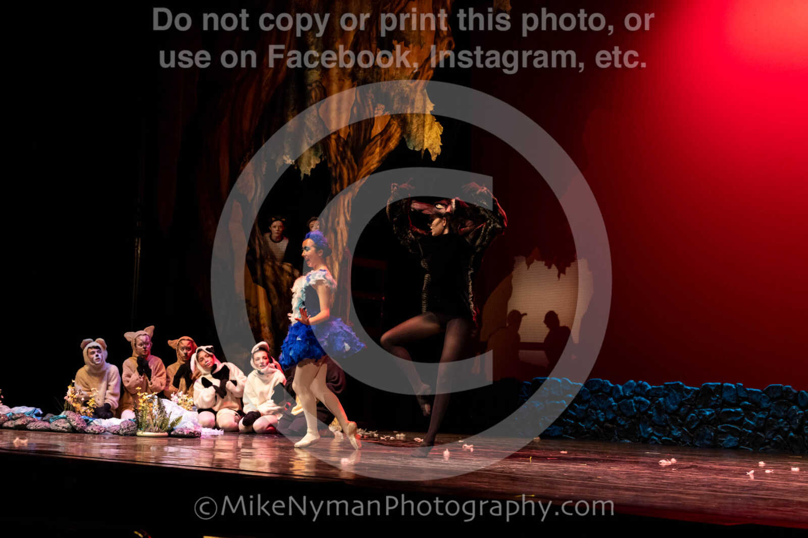 20260304153006-R62-100624