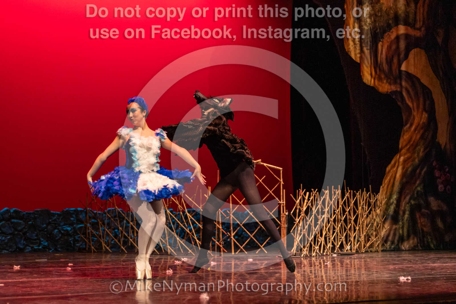 20260304153007-R3-639555