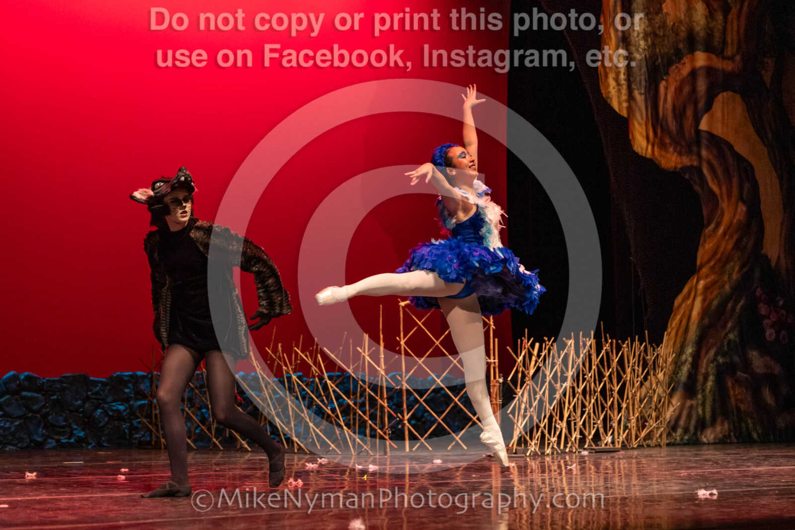 20260304153008-R3-639556