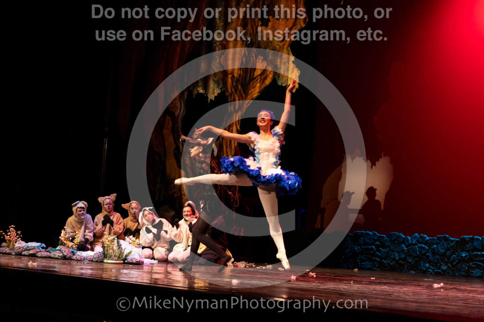 20260304153008-R62-100627