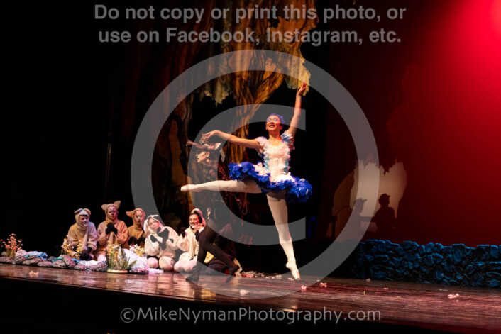 20260304153008-R62-100627