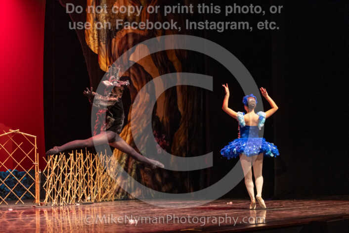 20260304153012-R3-639557